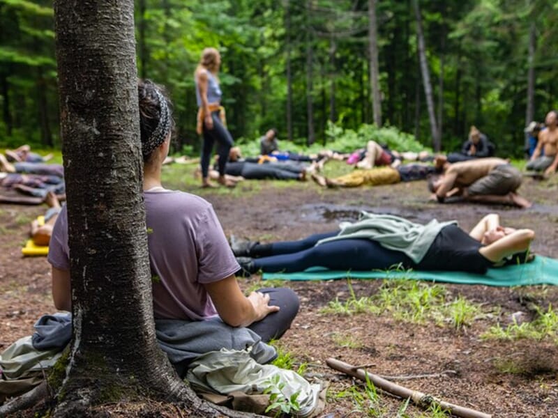 Groupe de personnes allongées et assises en pleine forêt lors d’un atelier de méditation ou de reconnexion à la nature.