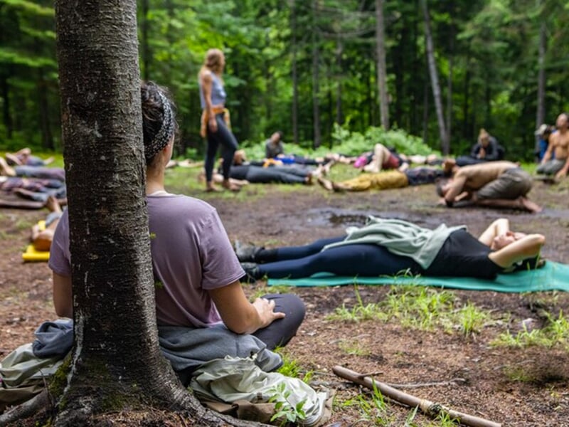 Groupe de personnes allongées et assises en pleine forêt lors d’un atelier de méditation ou de reconnexion à la nature.