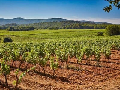 Balade en VTT Électrique près de Bandol - Le Castellet