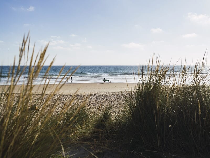 Vue depuis les dunes avec des surfeurs au loin sur la plage.