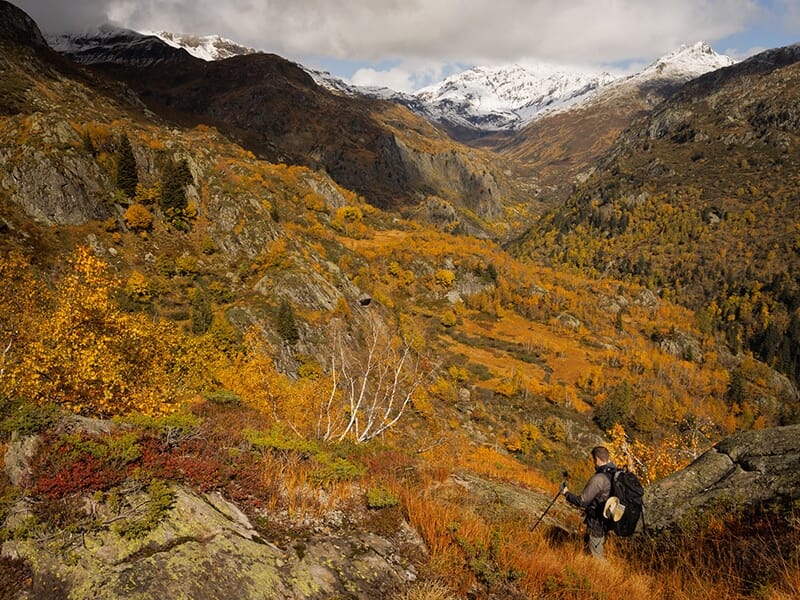 Randonneur observant un paysage de vallée en automne avec forêts dorées et sommets enneigés.