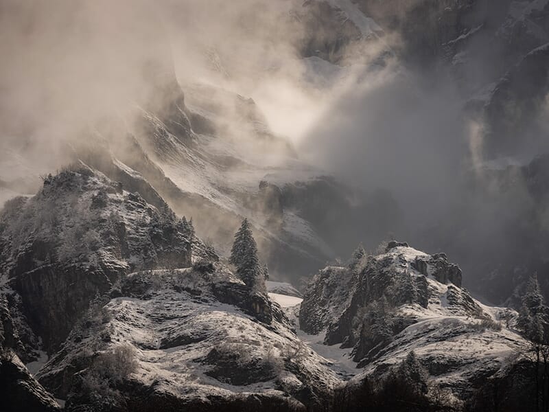 Montagne rocailleuse enneigée enveloppée de brouillard avec pins dispersés sur les crêtes.