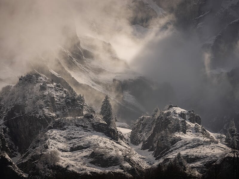 Montagne rocailleuse enneigée enveloppée de brouillard avec pins dispersés sur les crêtes.