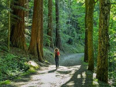Balade Photo dans le Parc Naturel du Pilat