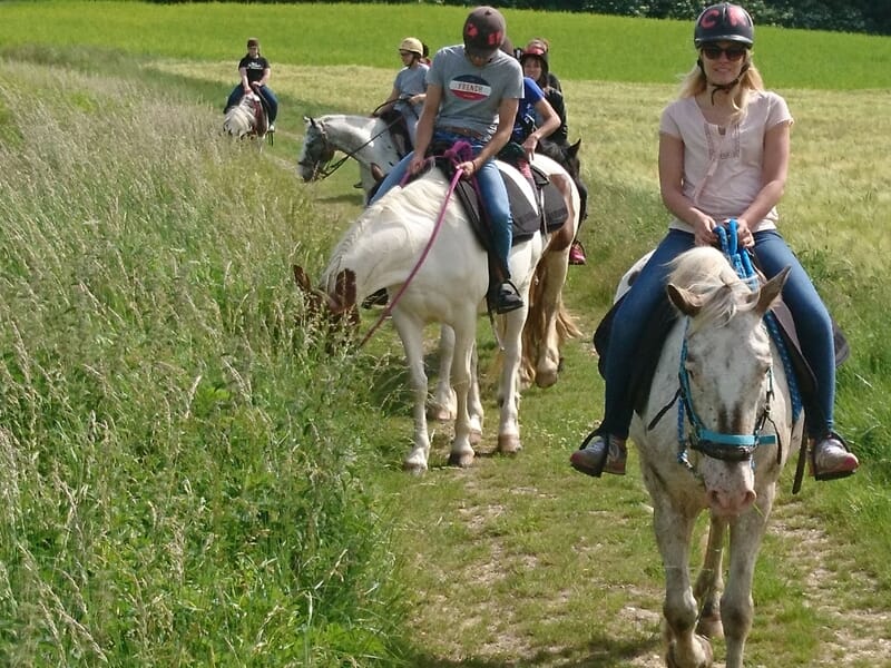 Randonneurs à cheval progressant dans un chemin herbeux entre champs et hautes herbes en été