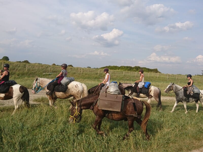 Groupe de cavaliers en randonnée équestre sur des chevaux chargés de sacoches, dans une plaine verdoyante