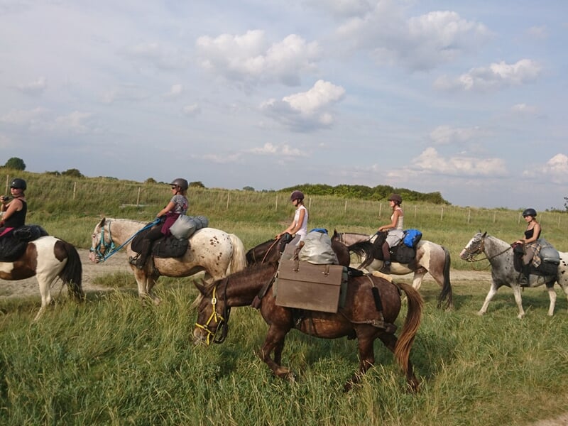Groupe de cavaliers en randonnée équestre sur des chevaux chargés de sacoches, dans une plaine verdoyante