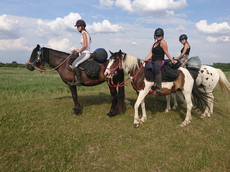 Trois cavalières à l’arrêt sur leurs chevaux en pleine nature, prêtes pour une randonnée à cheval