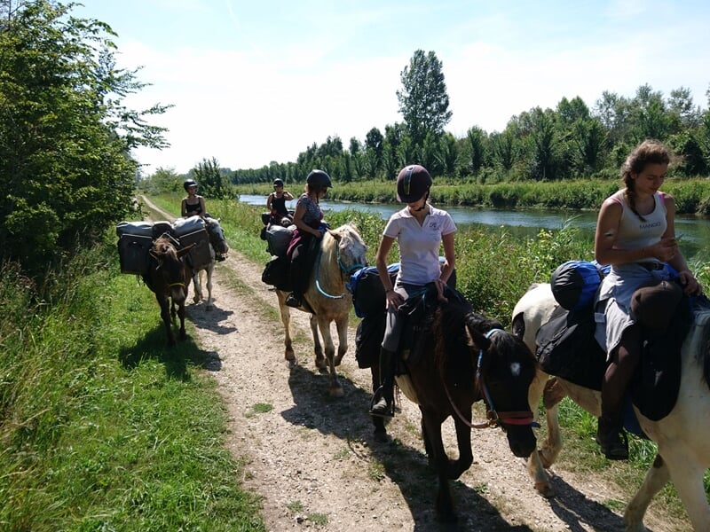 Cavaliers suivant un sentier en bord de rivière, entourés de végétation lors d’une randonnée à cheval
