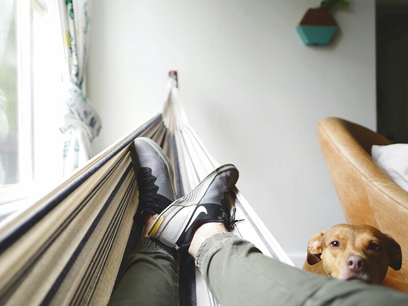Personne allongée dans un hamac à l’intérieur, jambes croisées, avec un chien regardant vers l’objectif.