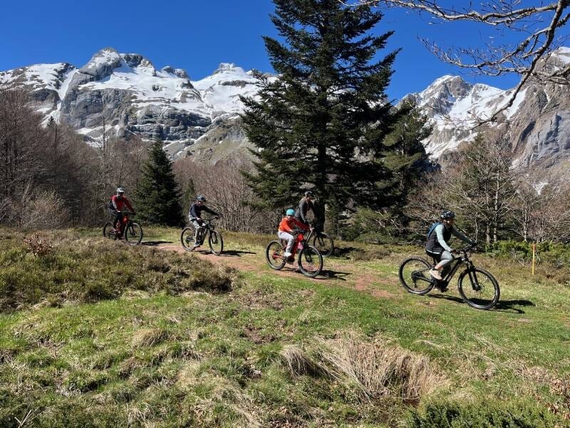 Quatre cyclistes en VTT sur l'herbe verte, avec les montagnes en fond.