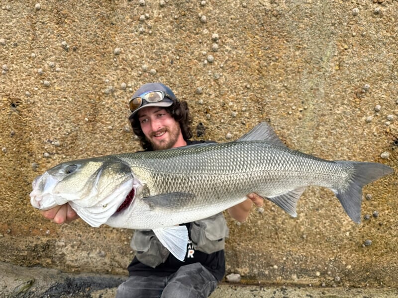 Pêcheur souriant tenant un très gros poisson lors d'un stage de pêche à Lille.