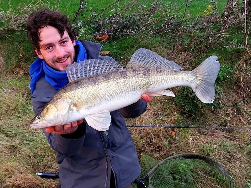 Un homme souriant tient un gros poisson zébré avec des nageoires bien visibles lors d'un stage de pêche à Morlaix.
