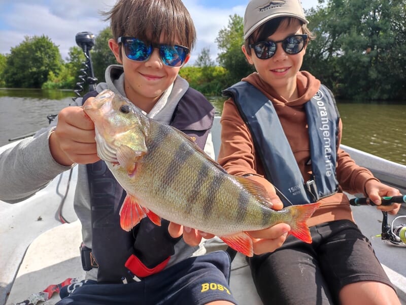 Deux garçons souriants à bord d’un bateau tiennent fièrement une perche commune aux reflets dorés et aux nageoires rouges, pêchée en rivière.