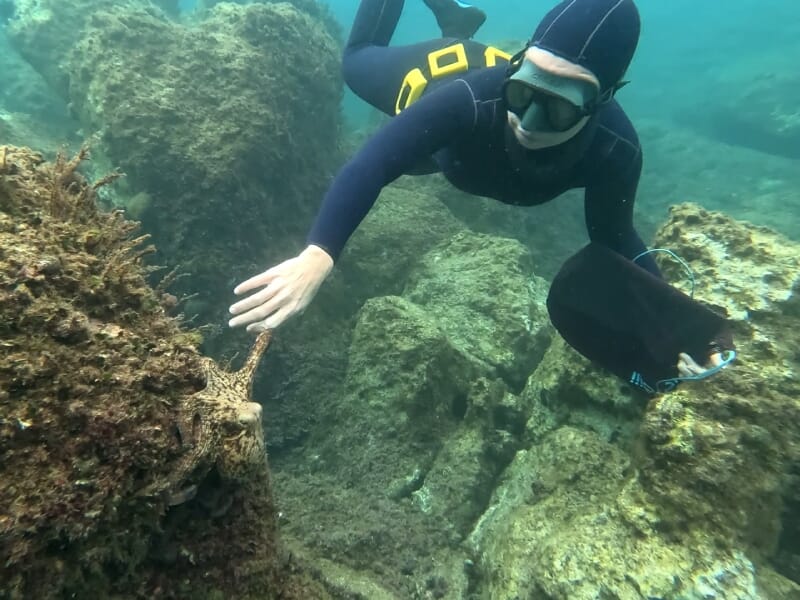 Apnéiste explorant un rocher sous-marin et tendant la main vers une pieuvre.