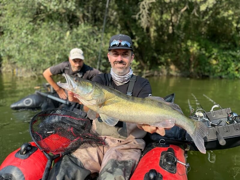 Pêcheur en float-tube brandissant un sandre pris dans une rivière bordée d’arbres
