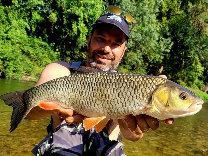 Poisson vif tenu à deux mains par un pêcheur dans une rivière claire entourée de verdure