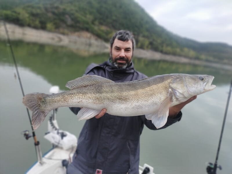 Homme en ciré tenant un sandre imposant capturé en bateau sur un lac entouré de collines