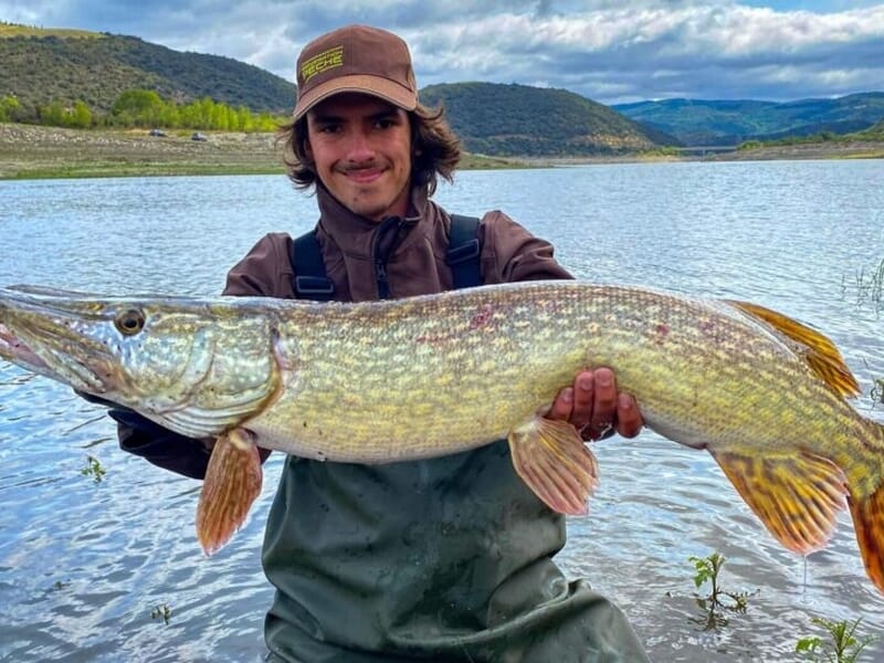 Homme en waders dans l’eau, montrant un très grand brochet avec un paysage de lac en arrière-plan.