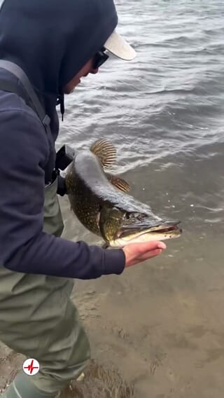 Stage de Pêche en Lac près de Perpignan