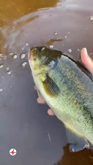 Stage de Pêche en Lac près de Perpignan
