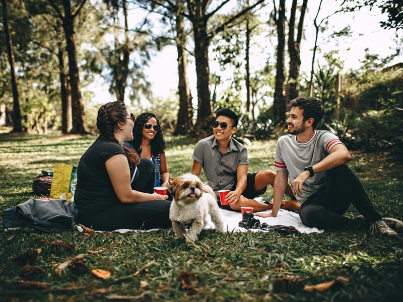 Groupe d’amis assis sur une couverture dans un parc avec un petit chien, discutant et riant.