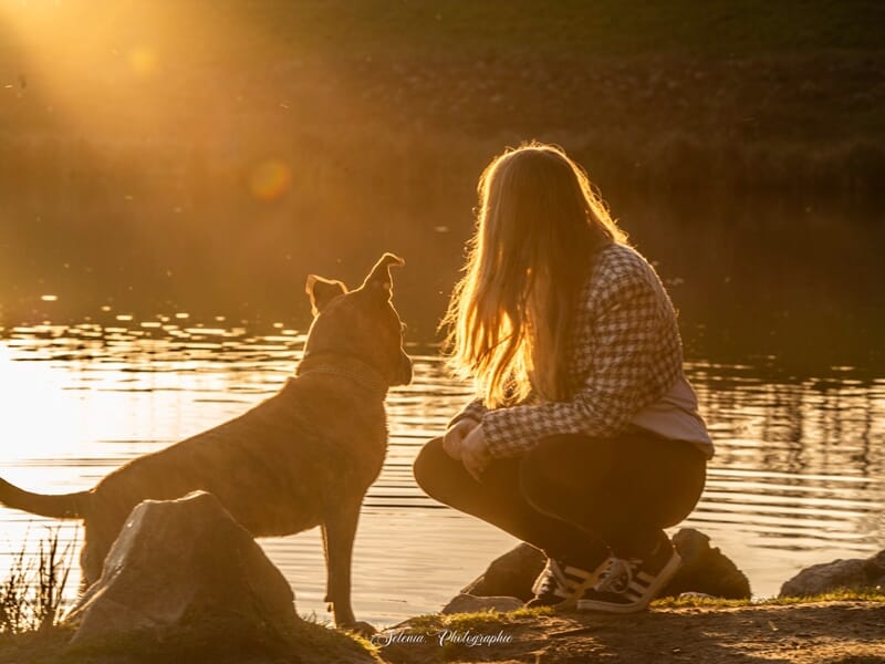 Silhouette d’une femme accroupie au bord d’un lac avec son chien, éclairés par la lumière dorée du soleil couchant.