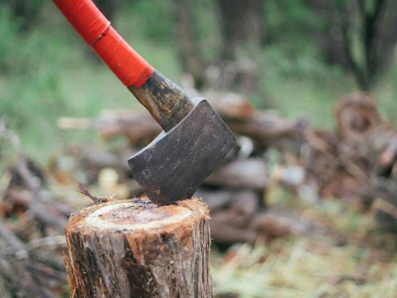 Une hache plantée dans une souche d'arbre en forêt près de Vannes, prête à couper du bois pour un stage de survie.