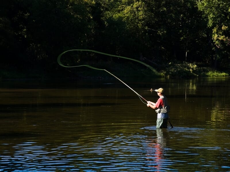 Pêcheur en cuissardes pratiquant la pêche à la mouche en rivière.