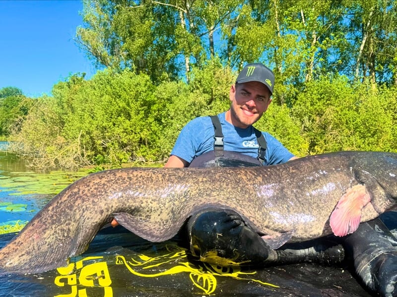 Homme posant fièrement avec un énorme silure pêché au bord d’un lac ensoleillé