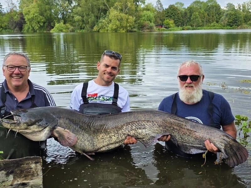 Trois pêcheurs souriants tenant ensemble un énorme silure dans l’eau
