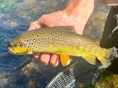 Stage de Pêche à Schirmeck