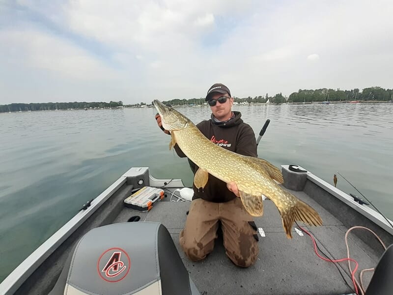 Homme en tenue de pêche tenant un grand brochet sur un bateau lors d'un stage de pêche près de Strasbourg.