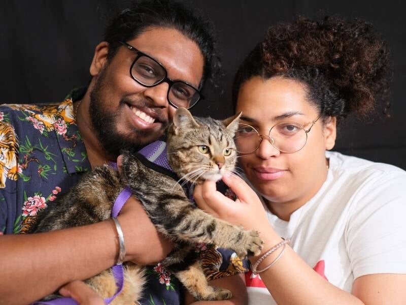 Un couple souriant tient un chat tigré avec un harnais violet, fond noir en studio photo.