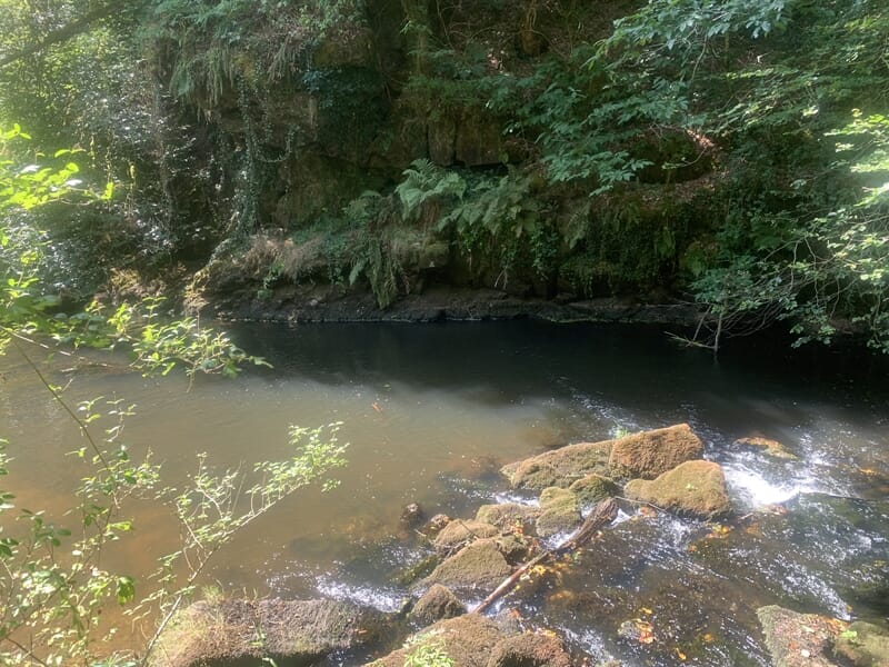 Rivière avec de l'eau claire coulant sur des rochers, entourée de végétation lors d'un stage de survie à Le Saint.