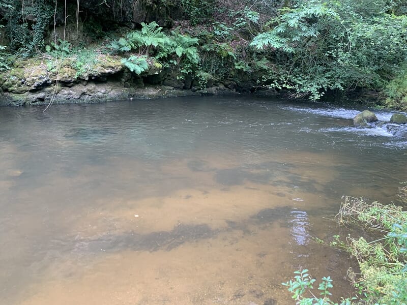 Eau calme d'une rivière peu profonde avec des reflets, bordée de plantes lors d'un stage de survie à Le Saint.