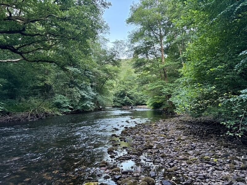 Rivière rocheuse entourée d'arbres verts lors d'un stage de pêche près de Limoges. 