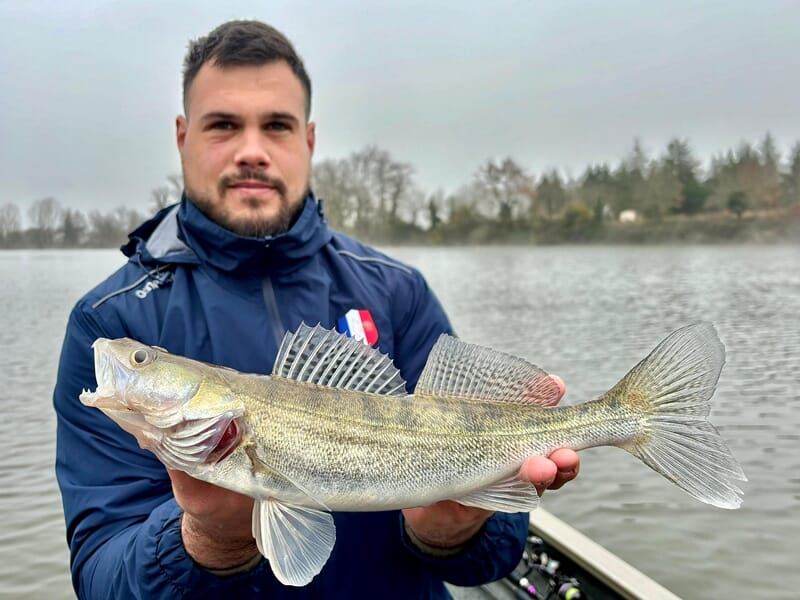 Un homme en veste bleue tient un gros sandre au bord d'un lac lors d'un stage de pêche près d'Agen.