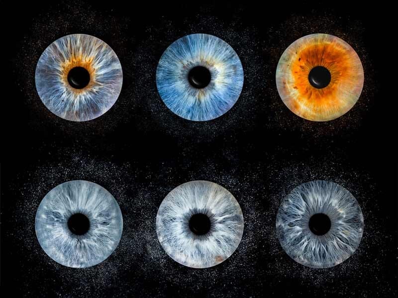 Six images rapprochées d'iris d'yeux humains montrant différentes couleurs et textures sur fond noir.