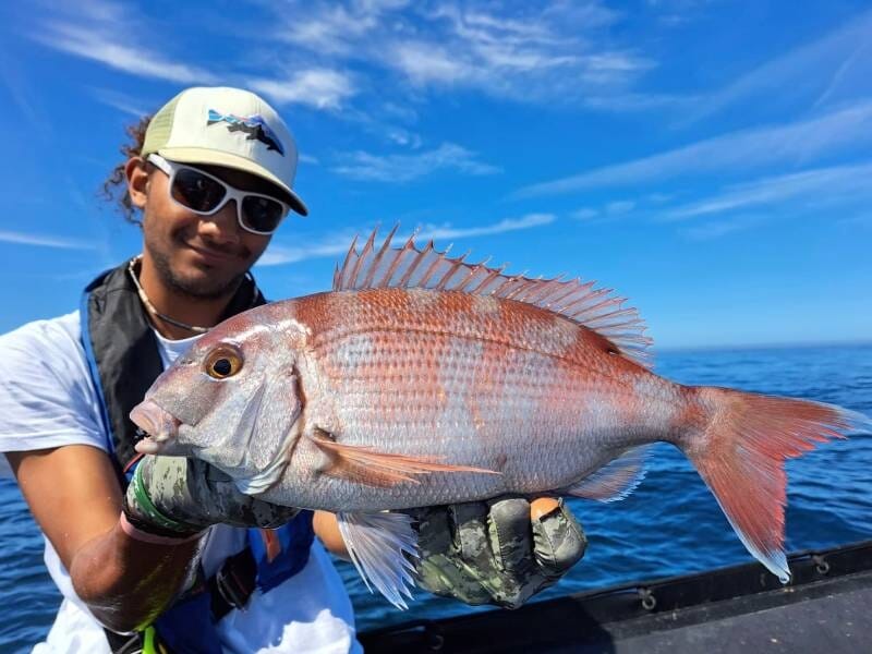 Pêcheur tenant un gros poisson rouge vif avec des épines, ciel bleu et mer en arrière-plan sur un bateau, lors d'une sortie de pêche en mer à Brest.