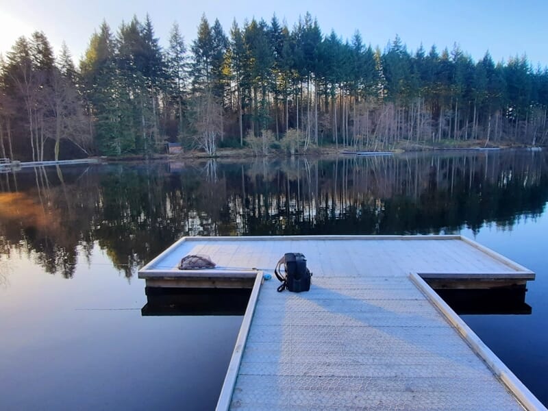 Un ponton en bois blanc au bord d'un lac calme entouré d'arbres verts lors d'un stage de pêche à Autun.
