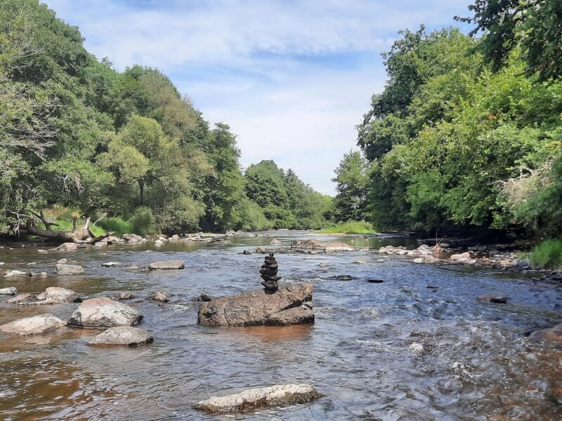 Une rivière avec un courant léger, des rochers et des arbres verts denses sur les rives lors d'un stage de pêche à Autun.