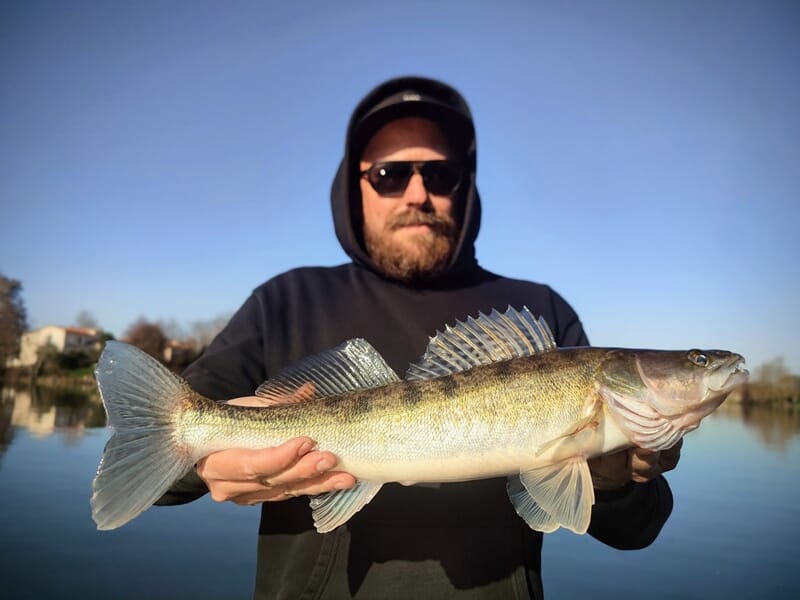 Homme barbu portant des lunettes de soleil, tenant un grand sandre lors d'un stage de pêche à Toulouse.