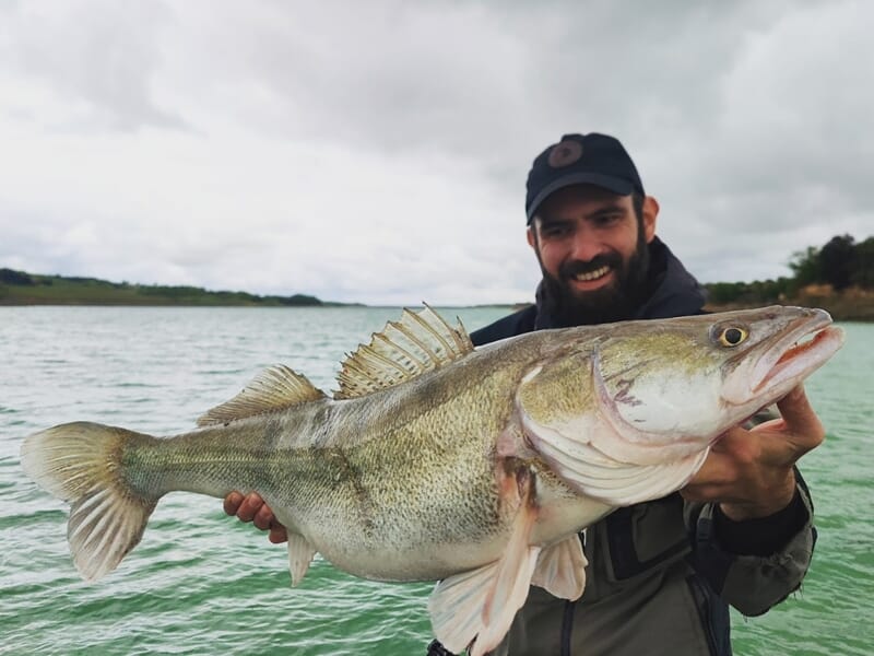 Homme barbu et casquette tenant un énorme sandre avec un lac vert en arrière-plan lors d'un stage de pêche à Toulouse.