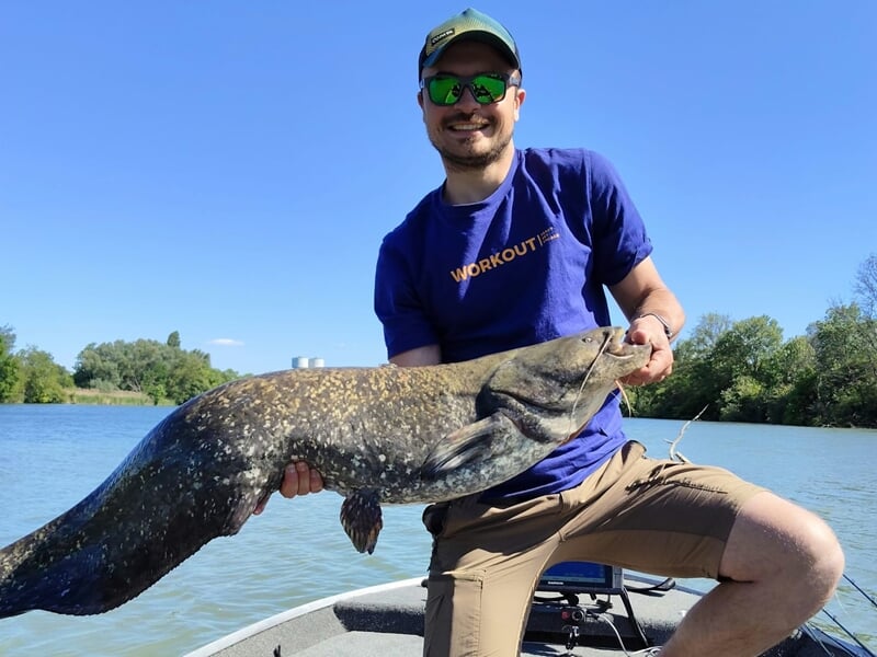 Homme souriant en t-shirt bleu tenant un gros poisson-chat lors d'un stage de pêche près de Dijon.
