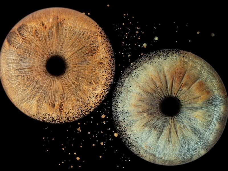 Deux iris en gros plan, un marron et un bleu, lors d'un shooting photo iris à Dunkerque.