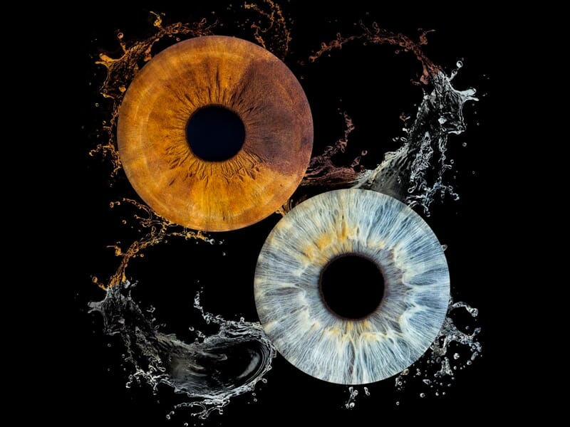 Deux iris, un marron et un bleu, entourés d'éclaboussures d'eau sur fond noir, illustrant un contraste de couleurs saisissant.
