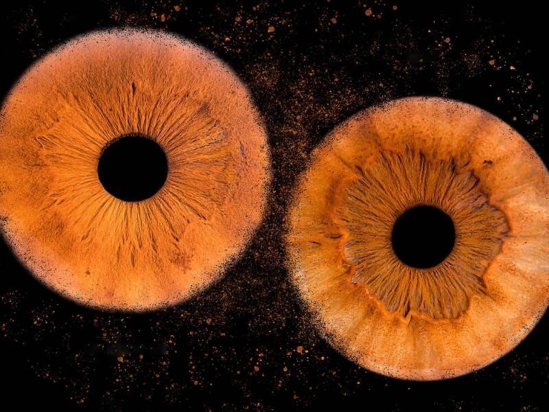 Deux gros plans artistiques d'iris orange avec des détails fins et un fond noir contrasté pour un effet visuel saisissant.