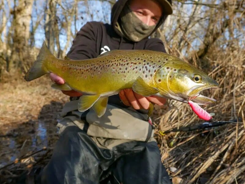 Un pêcheur masqué présente une grosse truite brune prise en rivière, avec un leurre rose visible dans la lors d'un stage de pêche au Lac de Caillauas.