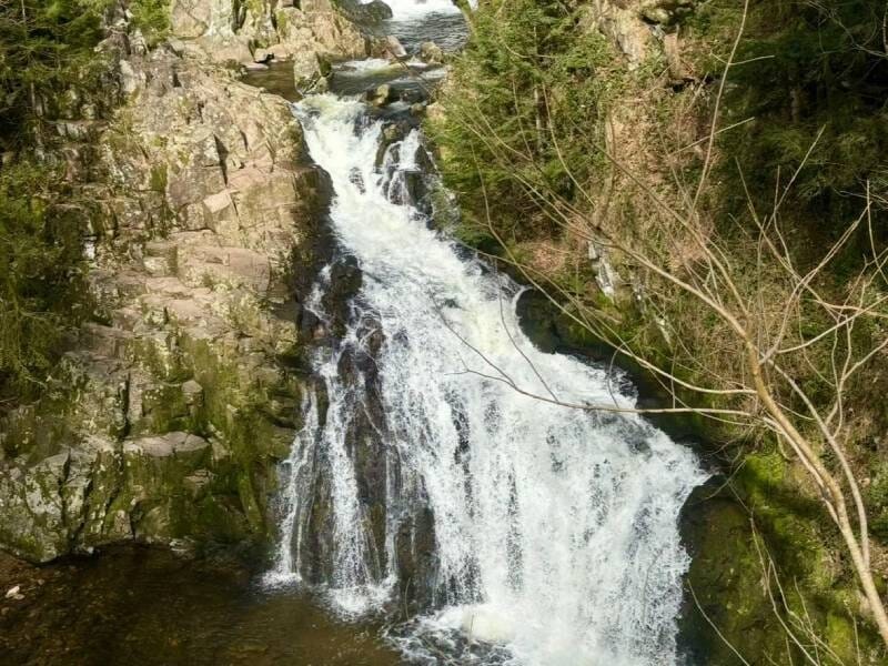 Cascade d'eau entourée de rochers et de végétation dense dans un paysage naturel forestier.